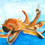 Abdul el Pulpo