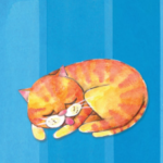 El Gato