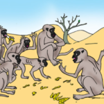 El Mono y la sequía