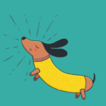 El perro salchicha